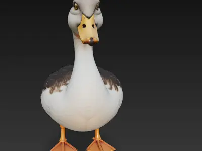 Duck Realistic 3D Model Basic - Low Poly Realistic Low-poly 3D model