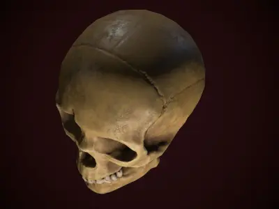 Dirty Skull PBR Low-poly 3D model