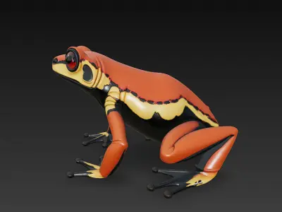 Frog  Poisonous Realistic 3D Model Basic - Low Poly Realistic Low-poly 3D model