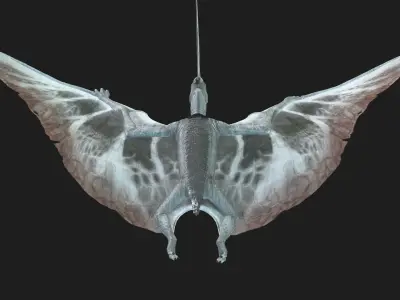 Dinos Flying 3D model