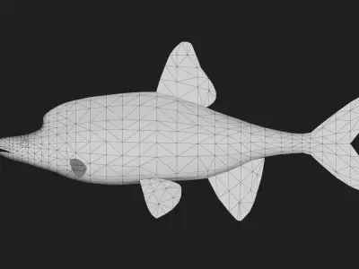 Carp fish Low-poly 3D model