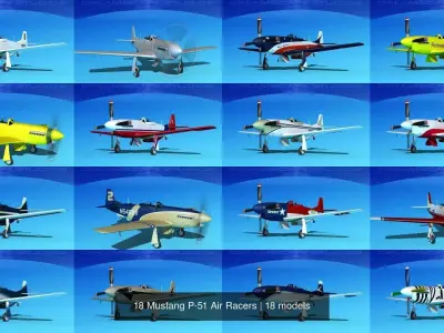 18 Mustang P-51 Air Racers 3D Model Collection