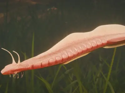 Pikaia Low-poly 3D model