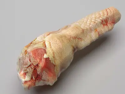 Chicken Neck 3D model