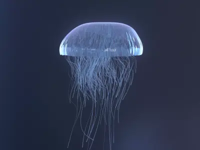 Procedural jellyfish blender cycles 3D model