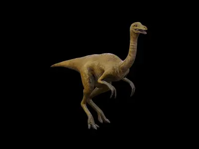 Gallimimus - The Chicken Mimic Low-poly 3D model