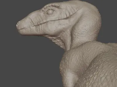 Velociraptor - 3D Model 3D model