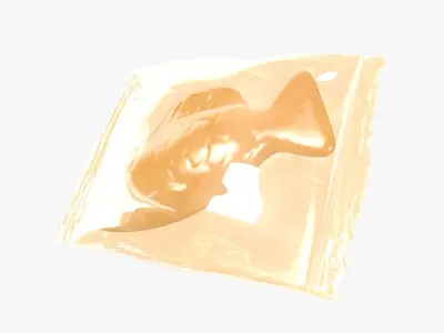 Wrapped Orange Fish 3D 3D model