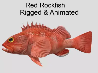 red rockfish Low-poly 3D model