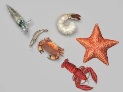 Sea Creatures Set 3D model