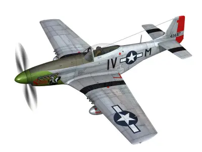 North American P-51D Mustang - Stinky 3D model
