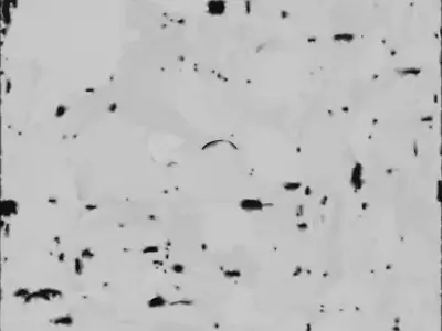 Cute Cartoon Raccoon 3D Model Low-poly 3D model