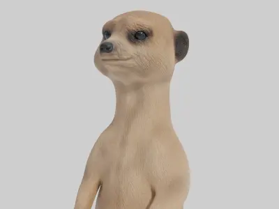 3D Meerkat Model Low-poly 3D model