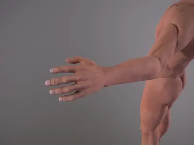 Celt warrior Low-poly 3D model