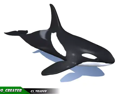 Low-Poly Killer Whale Rigged Animated 3D model Low-poly 3D model