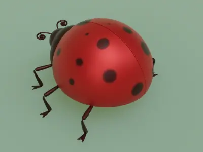LadyBug Rigged Model 3D model