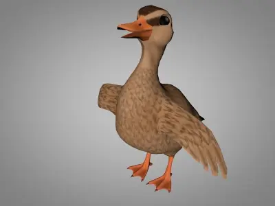 Duck or Drake Low-poly 3D model