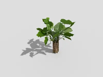 Low poly Plant ivy Low-poly 3D model