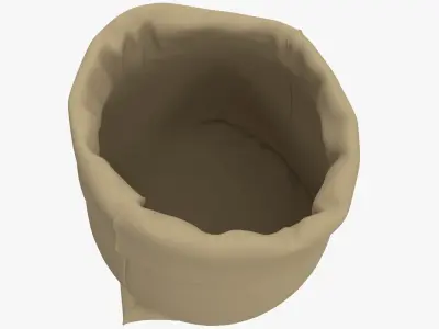 Sack v11 3D model