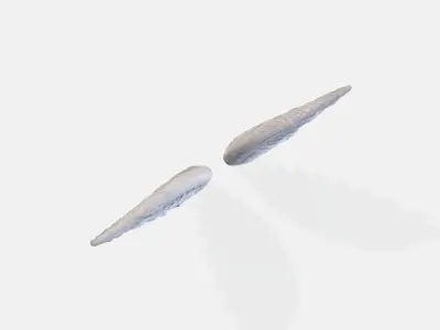 A pair of large detailed angel wings 3D model