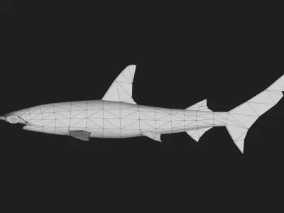 Shark Low-poly 3D model