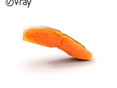 Salmon Fillet D Model Pack Low-poly 3D model