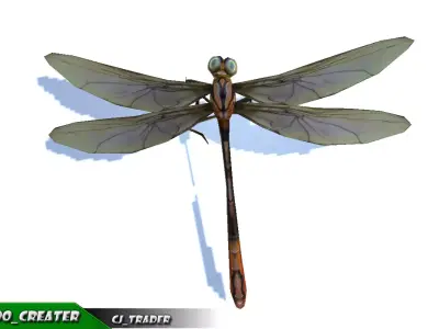 Low-Poly Dragonfly Rigged Animated 3D Model Low-poly 3D model