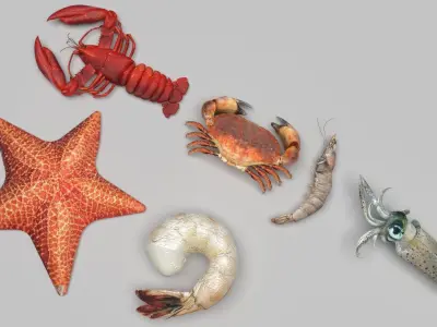 Sea Creatures Set 3D model