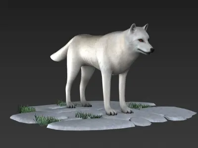arctic wolf Labrador american mammal wolf 3D model