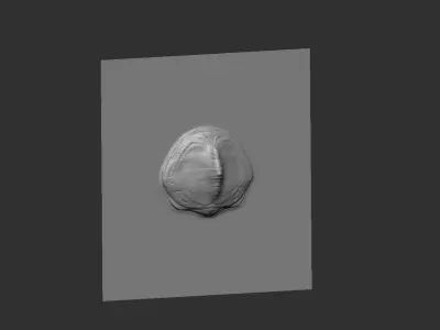 Dragon VDM 02 3D model