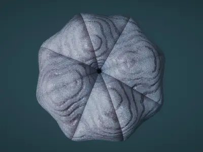 Siphusauctum Low-poly 3D model