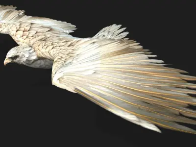 Eagle A2 3D model