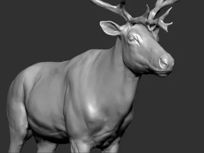 Reindeer 3D model buy
