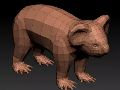 3D KOALA BEAR 3D model