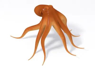 3D CARTOON OCTOPUS Low-poly 3D model