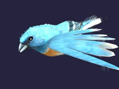 Utah Bird Low-poly 3D model