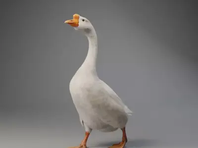 Big White Goose Male Animation - VFX Grace 3D model