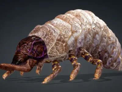 Larval-V1b 3D model