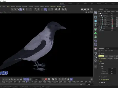 Realistic Animated Hooded Crow Low-poly 3D model