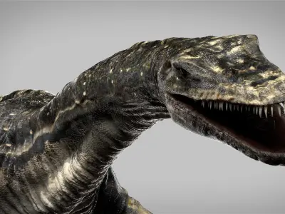 Plesiosaurus 3D Rigged model Low-poly 3D model