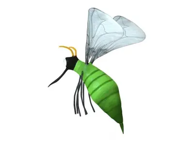 Mosquito insect flying Low-poly 3D model