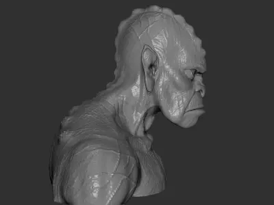 Swamp Troll Bust Free 3D model