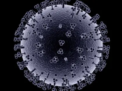 Influenza virus 3D model