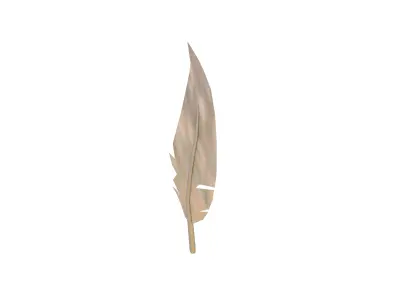 Feathers v1 011 Low-poly 3D model
