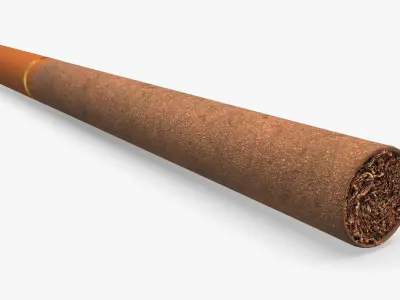 Cigars Collection 3D model