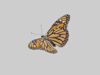 Butterfly Monarch Game Ready Low-poly 3D model