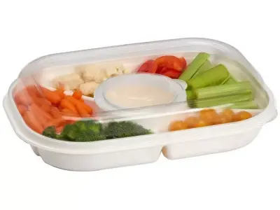 Rebrilliant Plastic Divided Serving Dish Free 3D model