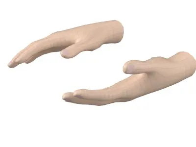 Female Hand Base Mesh 04 3D model