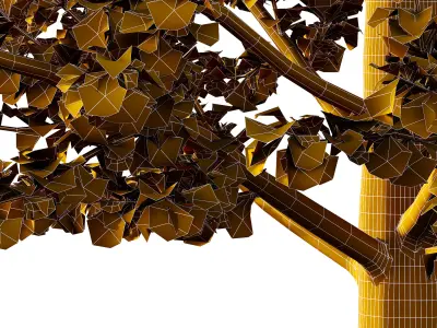 Maidenhair Ginkgo Biloba Tree 09 3D model