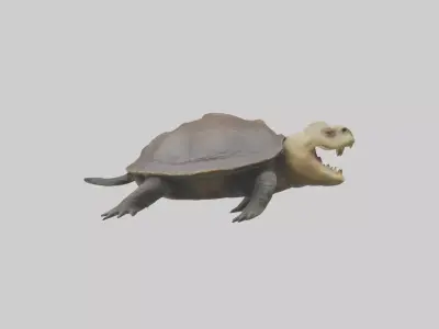 Snapping Turtle biting model 3D model